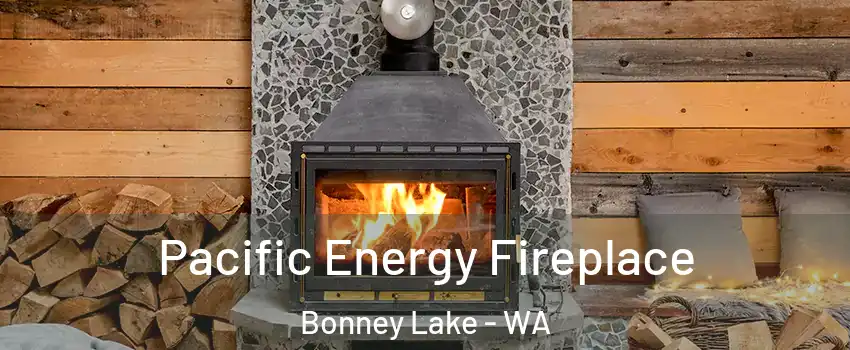  Pacific Energy Fireplace Bonney Lake - WA